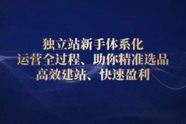 简单项目（13914期）独立站新手体系化运营全过程，助你精准选品、高效建站、快速盈利01-05中创网