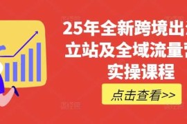 每天25年全新跨境出海独立站及全域流量营销实操课程，跨境电商独立站TIKTOK全域营销普货特货玩法大全03-12冒泡网