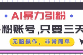 2024最新（13444期）AI暴力引粉，千粉账号只需要三天，无脑操作有手就行11-24中创网