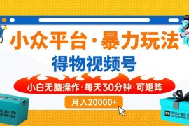 每日（14114期）【得物】小众平台暴力玩法，一键搬运爆款视频，可矩阵，小白无脑操作，&#8230;02-08中创网