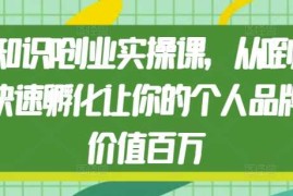 2024最新知识IP创业实操课，从0到1快速孵化让你的个人品牌价值百万12-15冒泡网