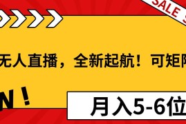 实战（13946期）淘宝无人直播，全新起航！可矩阵操作，月入5-6位数！01-09中创网