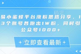 手机创业网易小蜜蜂平台涨粉思路分享，1晚上3个账号各跑出1W粉，同时引流公众号1000+01-25冒泡网