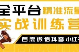 实战全平台精准流量实战训练营，百度微信抖音小红书SEO引流教程12-29冒泡网