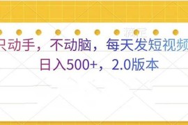 创业项目（13446期）只动手，不动脑，每天发发视频日入500+2.0版本11-25中创网