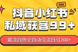 赚钱项目（13421期）某音，小红书，野路子引流玩法截流自热一体化日引200+精准粉单日变现3&#8230;11-23中创网