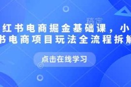 每日小红书电商掘金课，小红书电商项目玩法全流程拆解01-17冒泡网