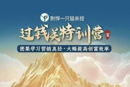 实战剽悍一只猫-过钱关特训营，学习营销真经大幅度提高创富效率01-05冒泡网