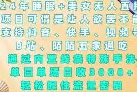 赚钱项目2024年睡眠+美女无人直播，通过内置线条特殊手法，单场日收3k+，轻松握住流量密码【揭秘】12-29冒泡网