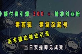 每日小额付费引爆300+精准创业粉，零剪辑、零复杂起号，话术撬动被动引流，当日实操即见成效01-05冒泡网