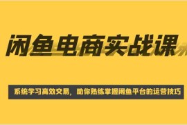 创业项目闲鱼电商实战课，系统学习高效交易，助你熟练掌握闲鱼平台的运营技巧02-13福缘网