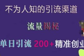 2024最新不为人知的引流渠道，流量揭秘，实测单日引流200+精准创业粉【揭秘】12-10冒泡网