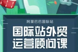 2024最新国际站运营顾问系列课程，一套完整的运营思路和逻辑01-17冒泡网