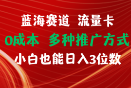 赚钱项目【站长实操】蓝海赛道流量卡0成本小白也能日入三位数12-25中创网