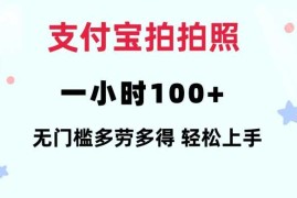 每日支付宝拍拍照一小时100+无任何门槛多劳多得一台手机轻松操做【揭秘】01-11冒泡网