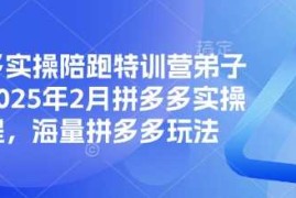 每日拼多多实操陪跑特训营弟子班，2025年2月拼多多实操课程，海量拼多多玩法03-05冒泡网