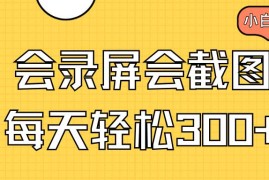 实战（14223期）会录屏会截图，小白半小时上手，一天轻松300+02-18中创网