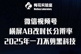 2024最新梅花实验室2025视频号最新一刀不剪黑科技，宽屏AB画中画+随机时长+帧率融合玩法01-09冒泡网