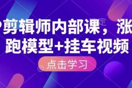 创业项目IP剪辑师内部课，涨粉跑模型+挂车视频01-17冒泡网