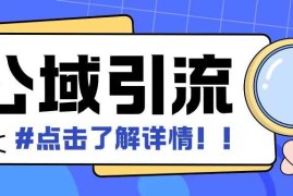 2024最新全公域平台，引流创业粉自热模版玩法，号称日引500+创业粉可矩阵操作11-24冒泡网