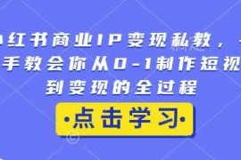 简单项目小红书商业IP变现私教，手把手教会你从0-1制作短视频到变现的全过程12-31冒泡网