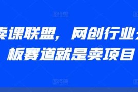 每日AI卖课联盟，网创行业天花板赛道就是卖项目11-20冒泡网