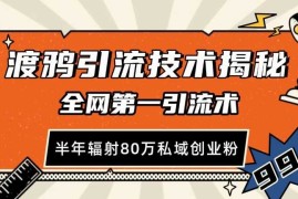 简单项目渡鸦引流技术，全网第一引流术，半年辐射80万私域创业粉【揭秘】11-22冒泡网