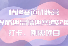 每天情趣赛道训练营野萌趣品情趣赛道起盘打卡、刚需项目01-04福缘网