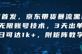 简单项目全网首发，京东带货暴流黑科技，无限账号技术，3天出单，单日可达1k+，附矩阵教学【揭秘】01-11冒泡网