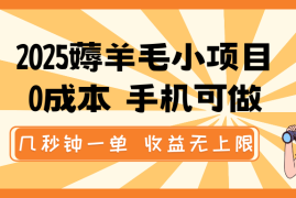 每日2025薅羊毛小项目，0成本手机可做，几秒钟一单，收益无上限02-10福缘网