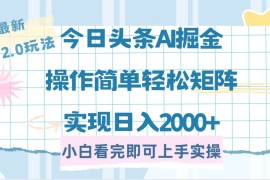 实战（14506期）今日头条最新2.0玩法，思路简单，复制粘贴，轻松实现矩阵日入2000+03-12中创网