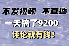 热门项目不发作品不直播，评论就有钱，一条最高10块，一天搞了920002-04福缘网