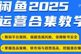 实战2025闲鱼电商运营全集，2025最新咸鱼玩法02-19冒泡网