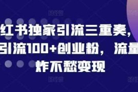 热门项目小红书独家引流三重奏，当天引流100+创业粉，流量爆炸不愁变现【揭秘】11-27冒泡网