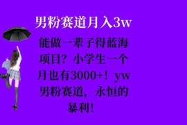 实战能做一辈子的蓝海项目？小学生一个月也有3000+，yw男粉赛道，永恒的暴利11-25冒泡网