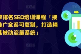 创业项目搜索引擎排名SEO培训课程「搜索引擎推广全系可复制，打造精准被动流量系统」，07月01日冒泡网VIP项目