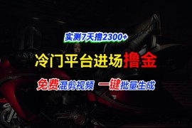 热门项目全新冷门平台vivo视频，快速免费进场搞米，通过混剪视频一键批量生成，实测7天撸2300+12-06福缘网