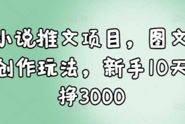 简单项目小说推文项目，图文创作玩法，新手10天挣300012-22冒泡网