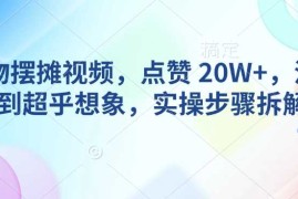 简单项目AI动物摆摊视频，点赞20W+，流量好到超乎想象，实操步骤拆解02-06冒泡网