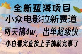 最新项目（13521期）全新蓝海项目电影拉新两天实操搞了3w，超好出单每天2小时轻轻松松手上12-01中创网