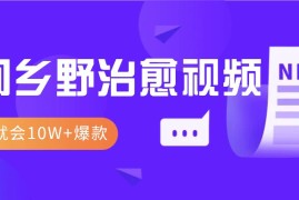 每天一学就会，1分钟教会你，10W+爆款田间乡野治愈视频（附提示词技巧）11-21福缘网