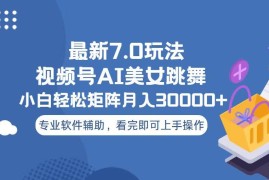 简单项目（13477期）视频号最新7.0玩法，当天起号小白也能轻松月入30000+11-26中创网